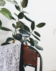 Artistic shot of the quilt draped over a chair with houseplants behind.