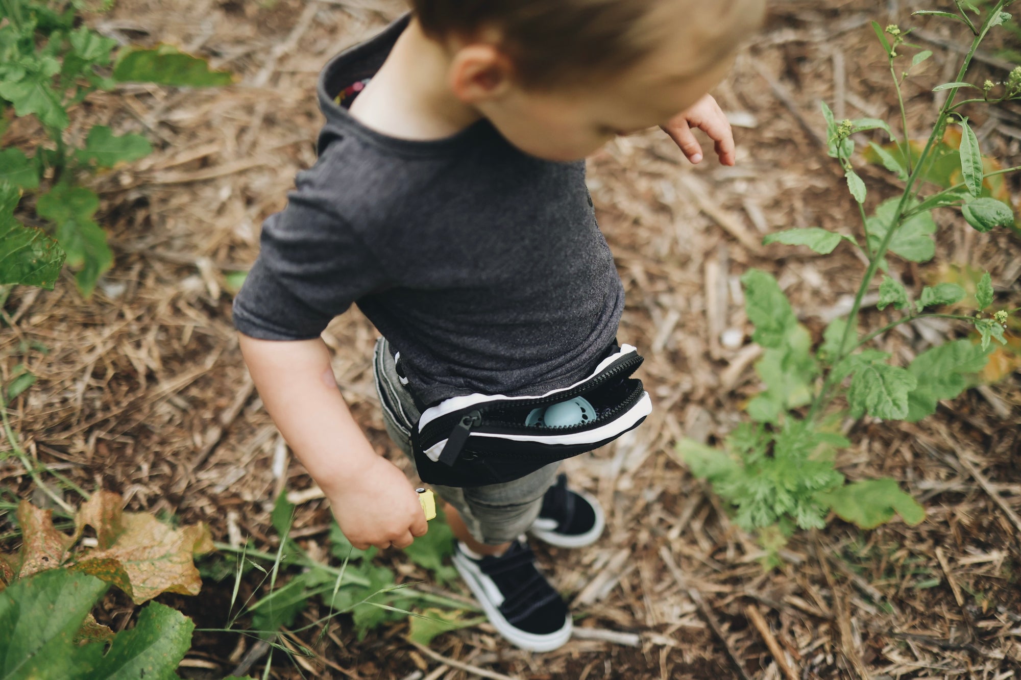 Littles Rad Pack