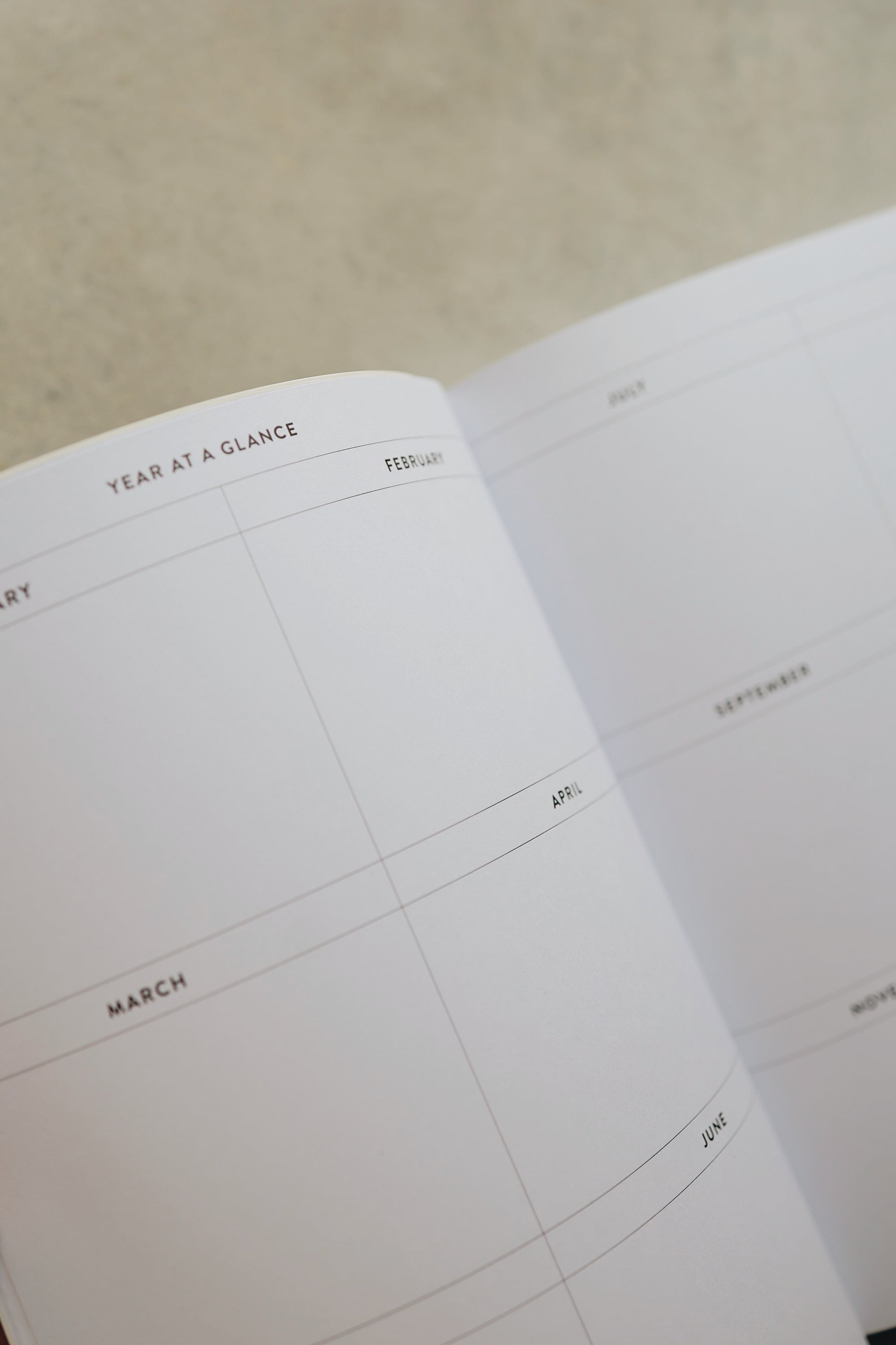 8x10 Dated 2025 Planner - Checkers Edition