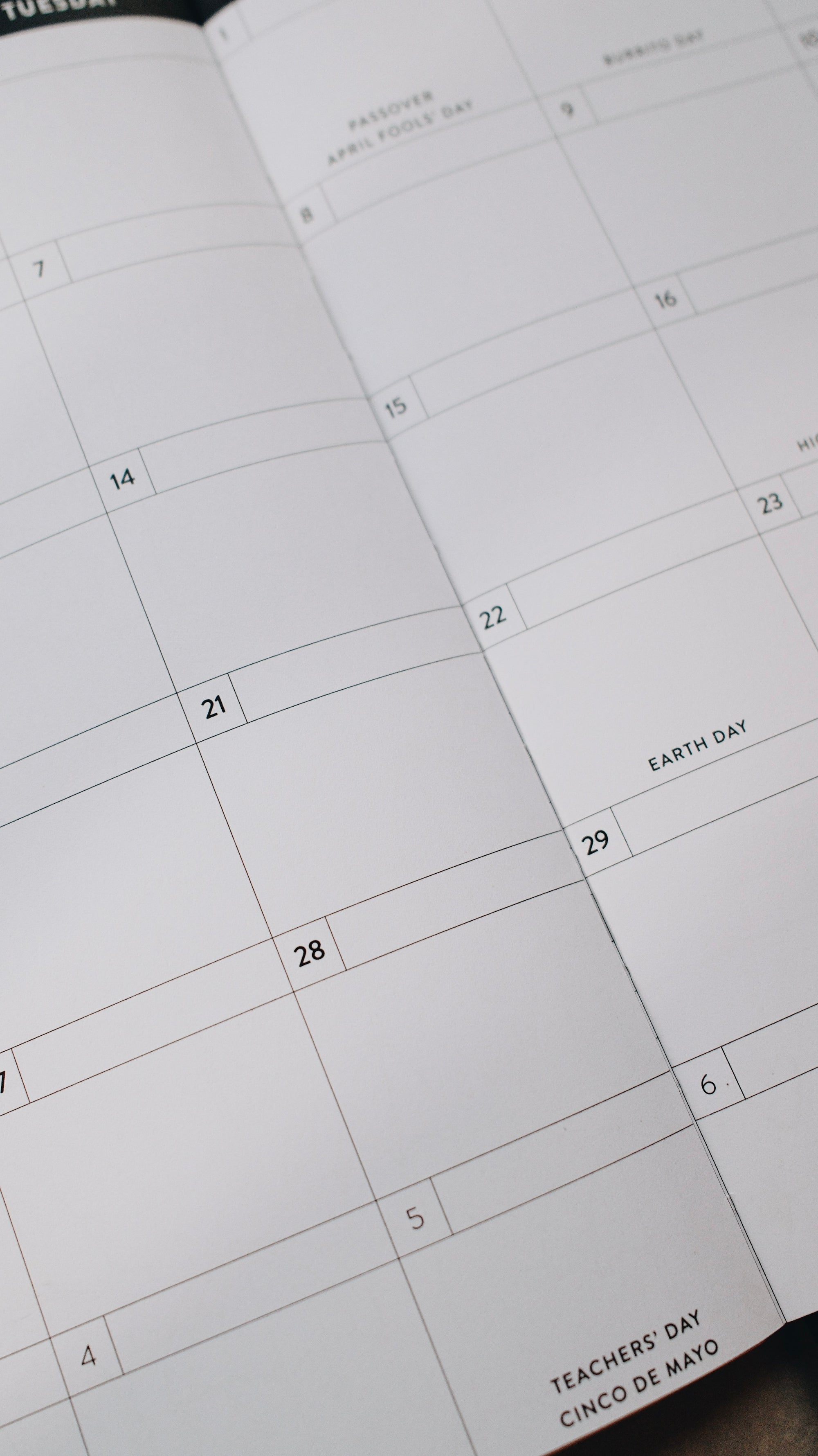 Dated 8x10 Planner - Doodle Edition