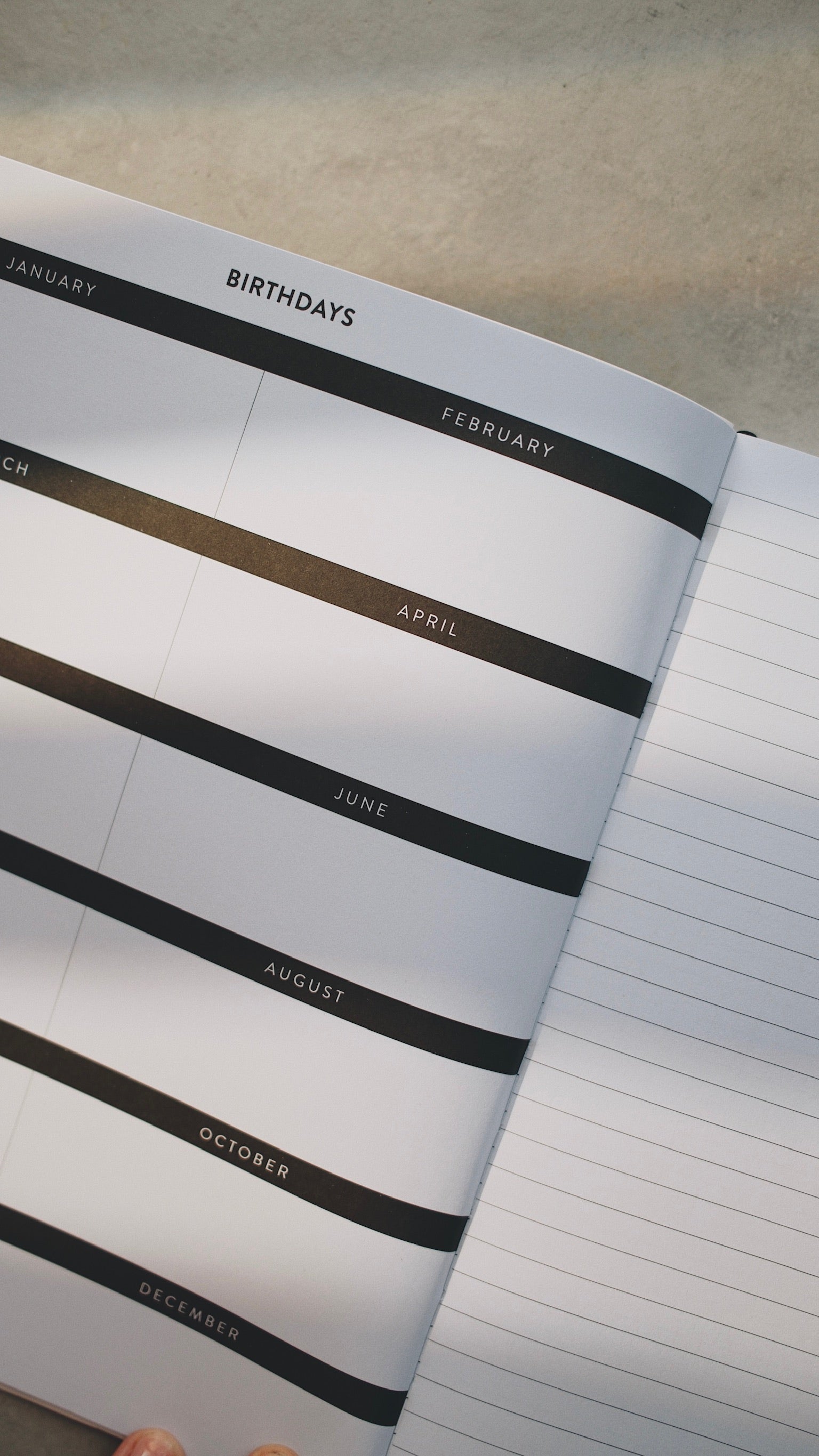 8x10 Undated Education Planner - Doodle Edition