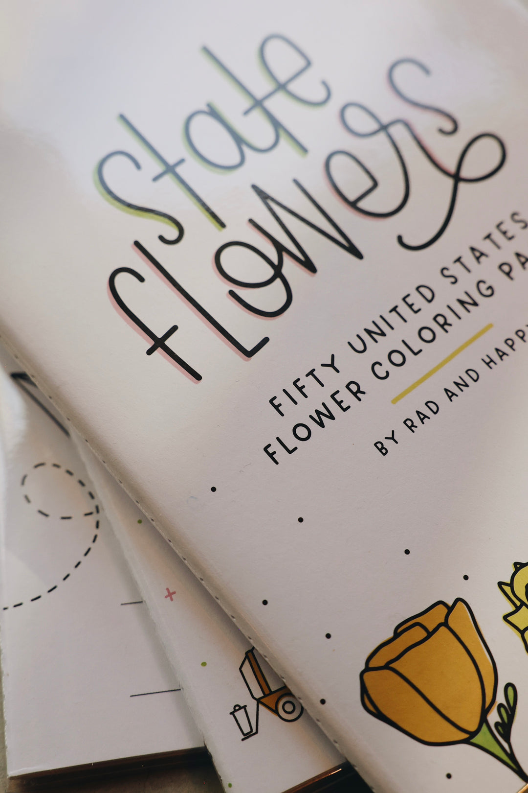 State Flowers Activity Book