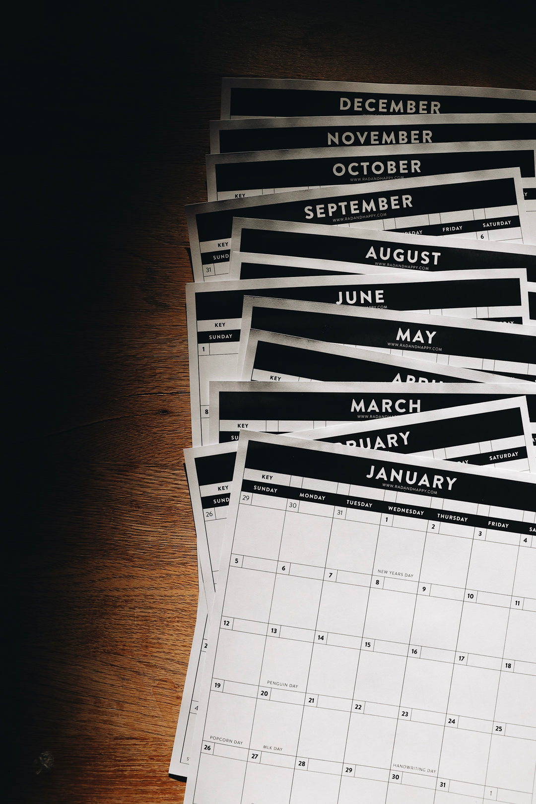 2025 Wall Calendar Printable