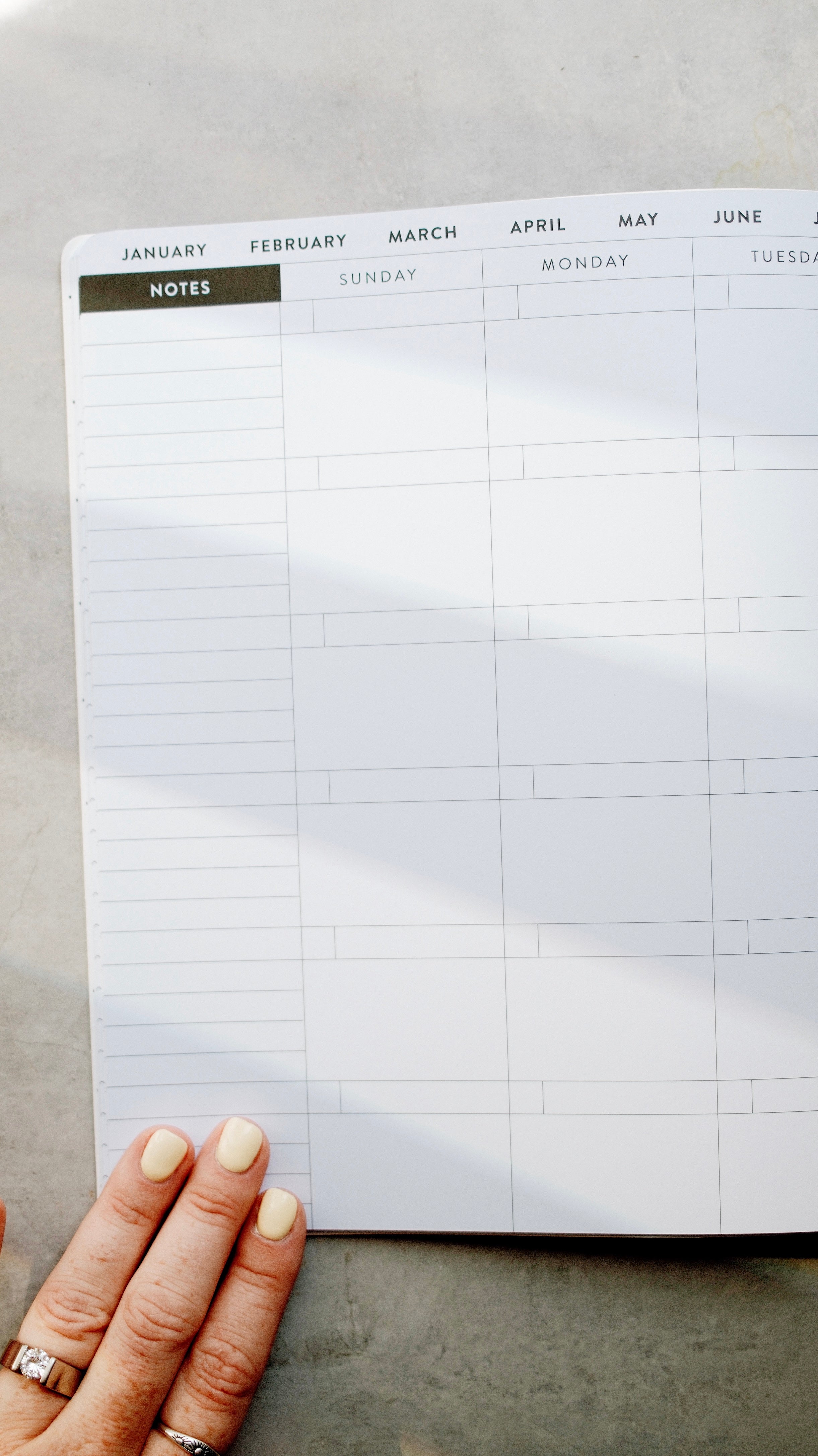 8x10 Undated Education Planner - Pencil Edition