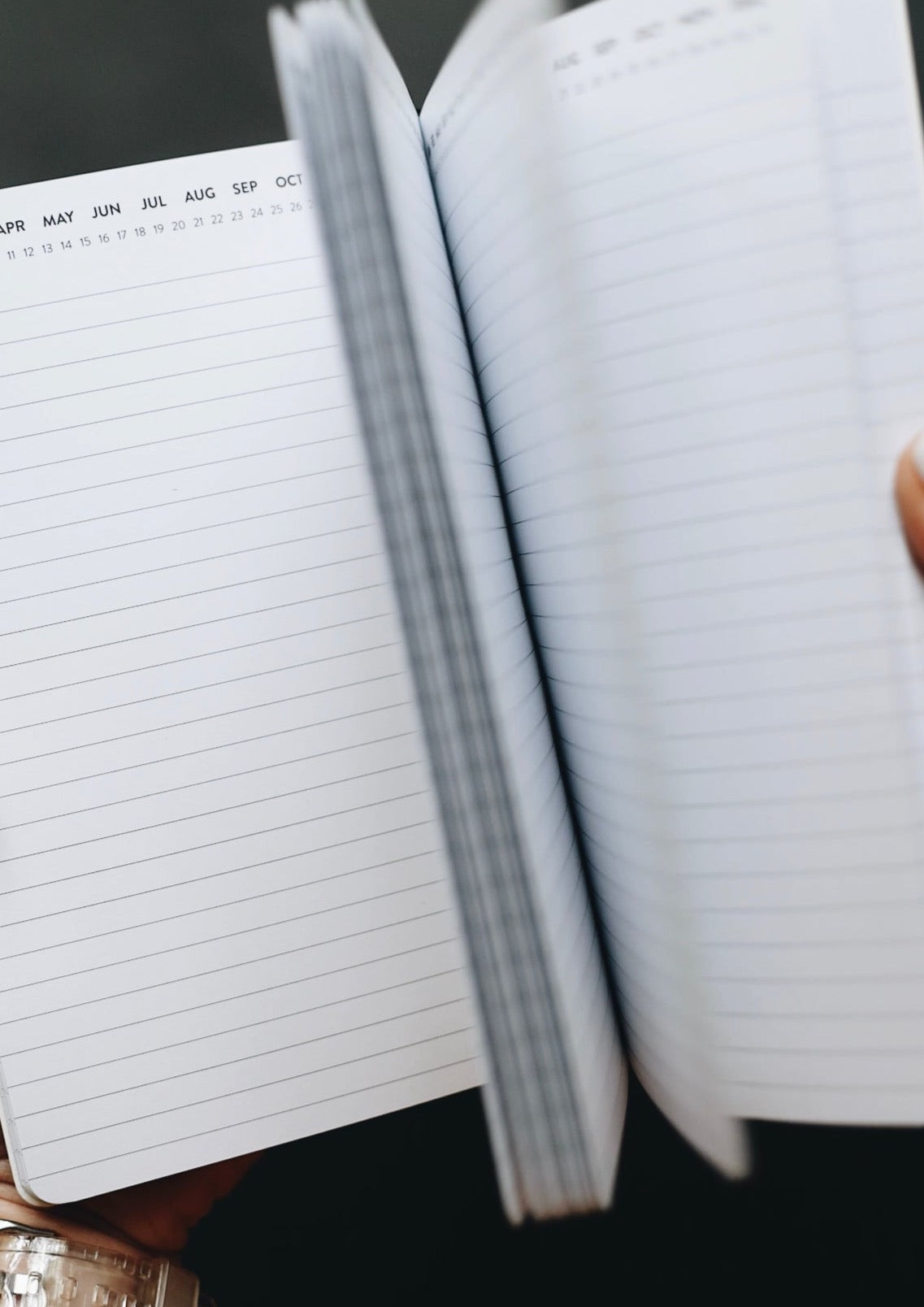 5x8 Undated Monthly Planner - Halfsies Edition