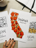 An image of the Rad & Happy state flowers coloring pages laying on a desk